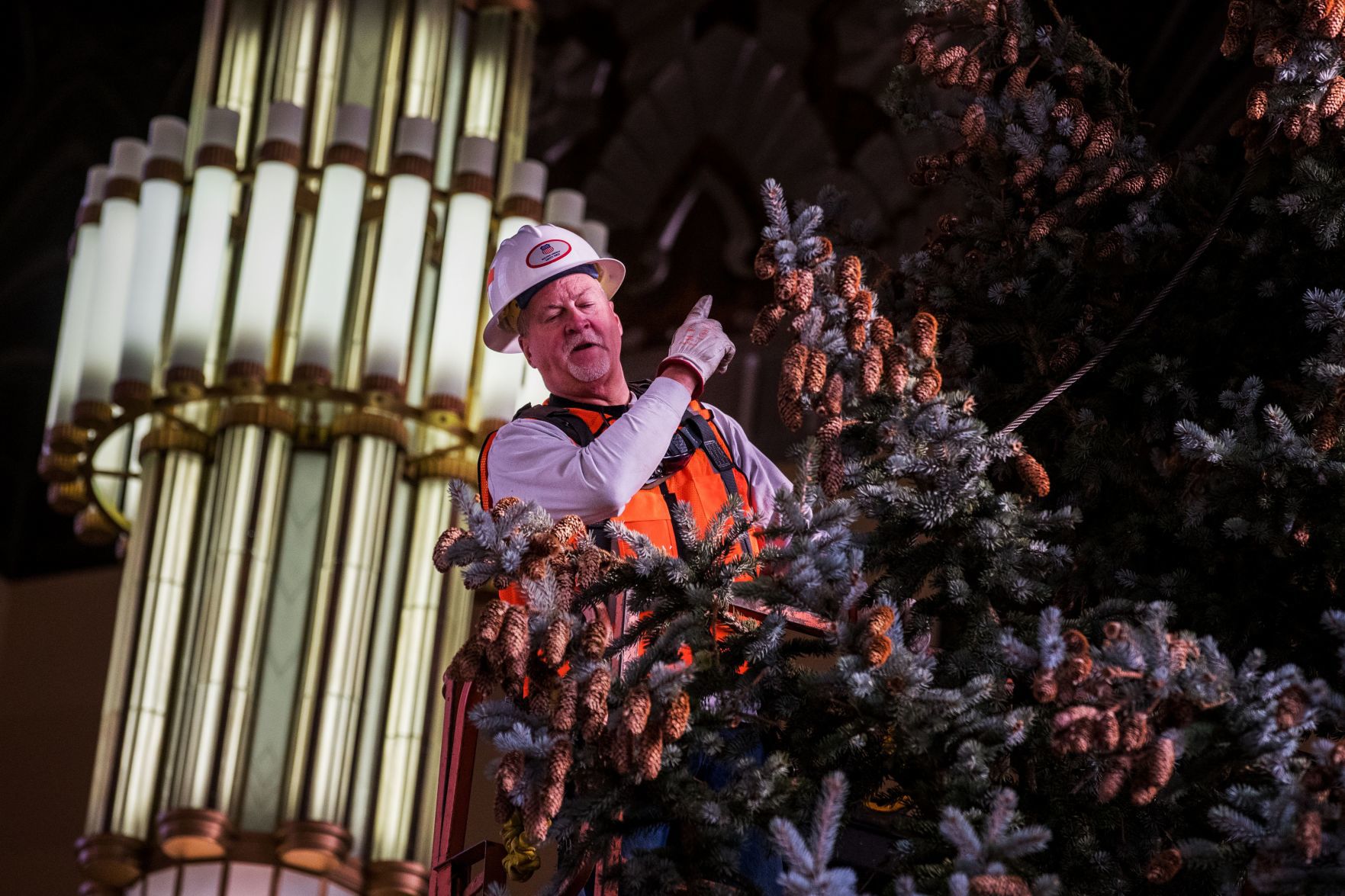 The Durham Museum's 2019 Christmas tree